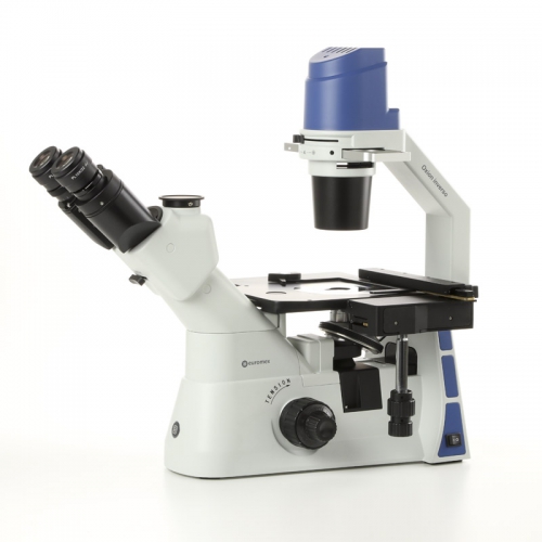 Euromex Oxion Inverso, Plan 10x, 20x, S40x, IOS objectives, 5W NeoLed, with XY, 1103-OX.2053-PL