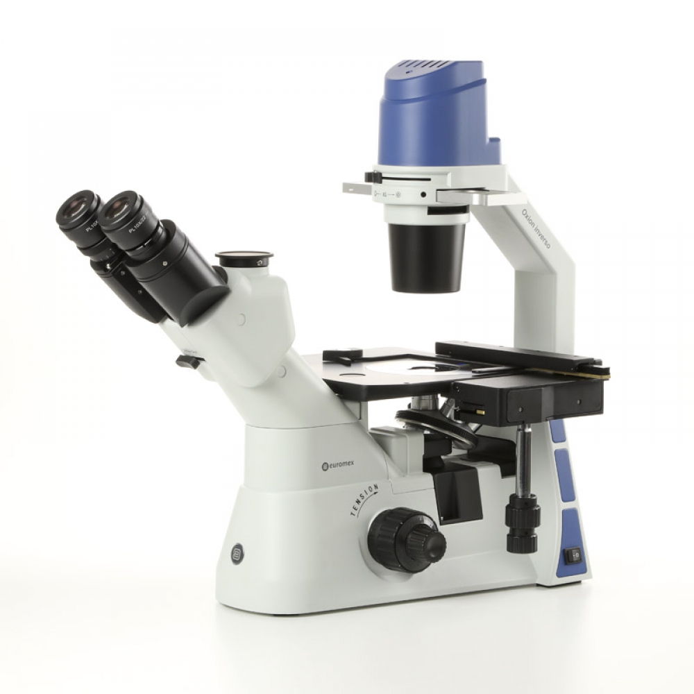 Euromex Oxion Inverso, Plan 10x, 20x, S40x, IOS objectives, 5W NeoLed, without XY, 1103-OX.2003-PL
