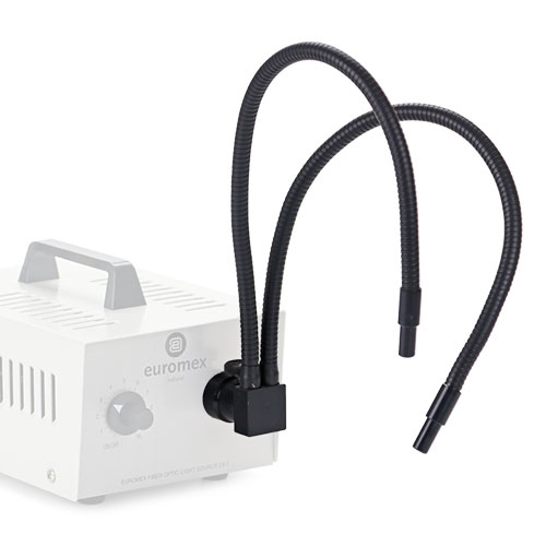 Euromex dual arm light conductor,gooseneck, 70cm Ø 4 mm - LE.5219