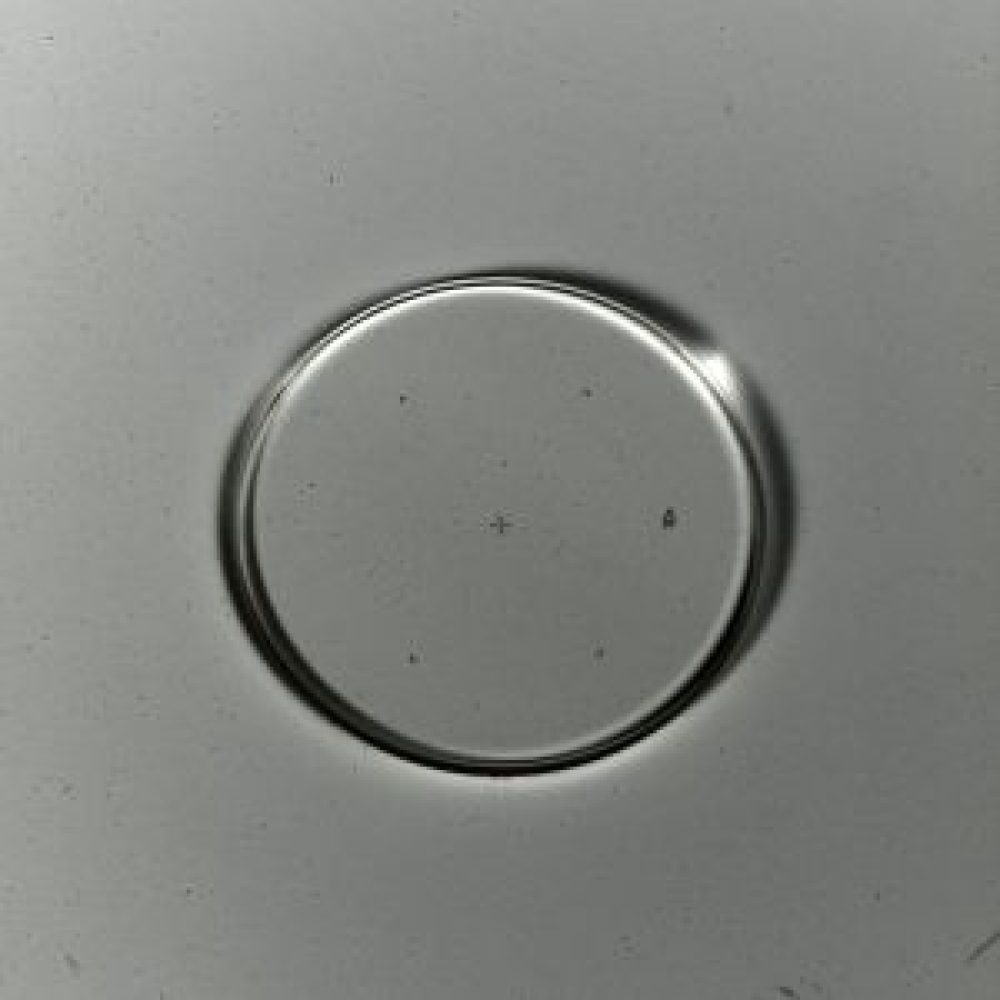Graticule Format reticle MC 2.5x/ d=26 mm - 454075-0000-000