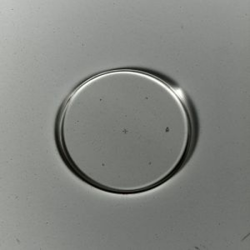Graticule Format reticle MC 2.5x/ d=26 mm - 454075-0000-000