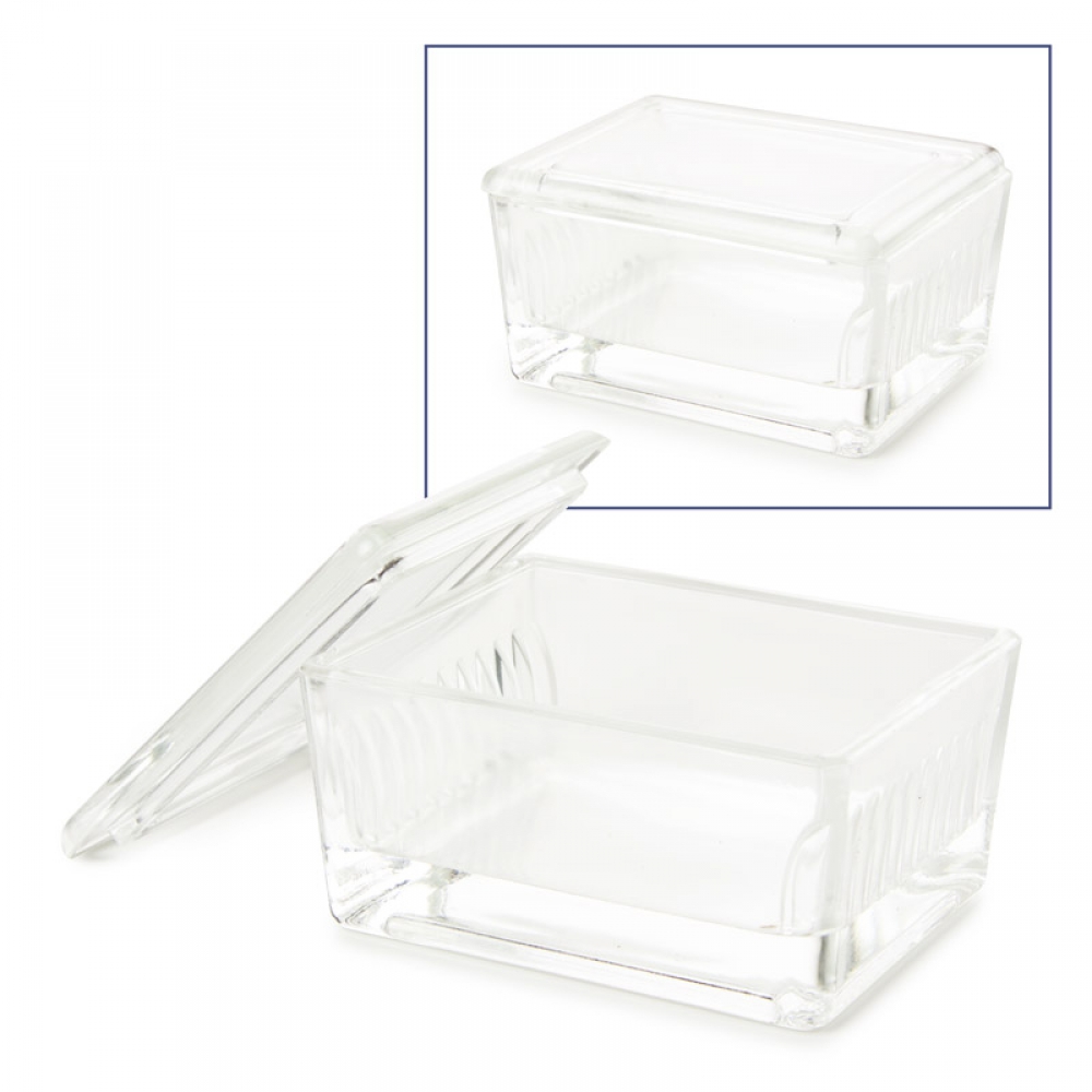 Euromex glass staining dish with glass cover, holds 10 slides, PB.5200