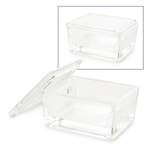Euromex glass staining dish with glass cover, holds 10 slides, PB.5200