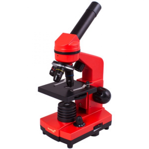 Levenhuk Microscope Rainbow 2L Orange - 560660508