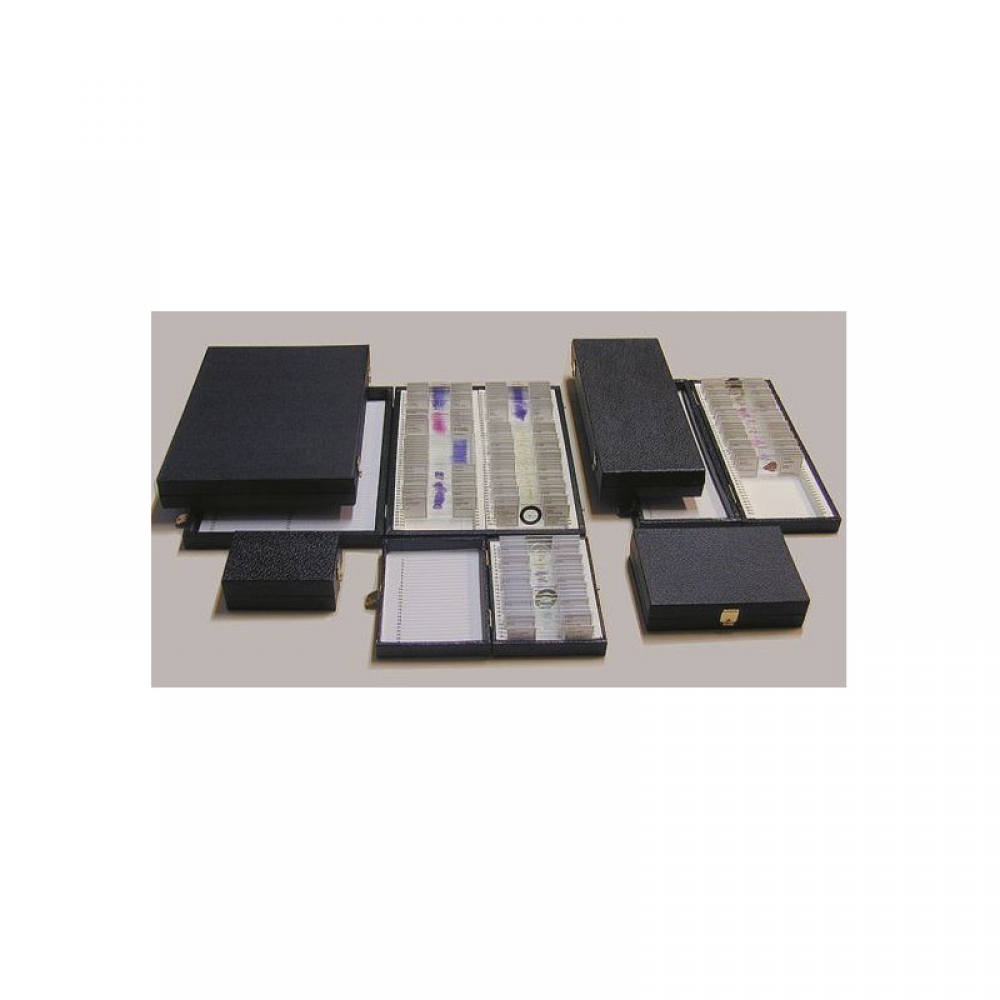 LIEDER K100, box for 100 microscope slides - 121355641
