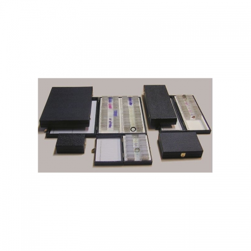 LIEDER K100, box for 100 microscope slides - 121355641