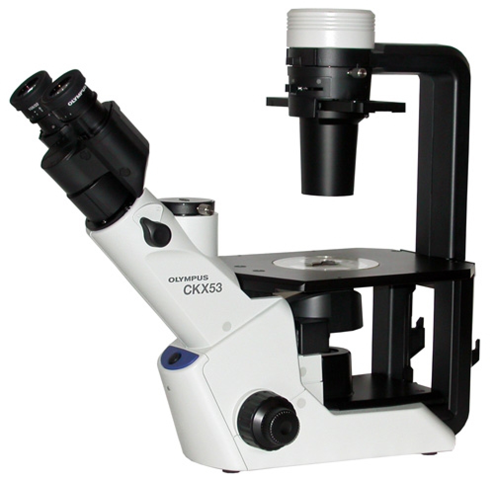 Olympus CKX53 microscope - Ask for quotation by mail !