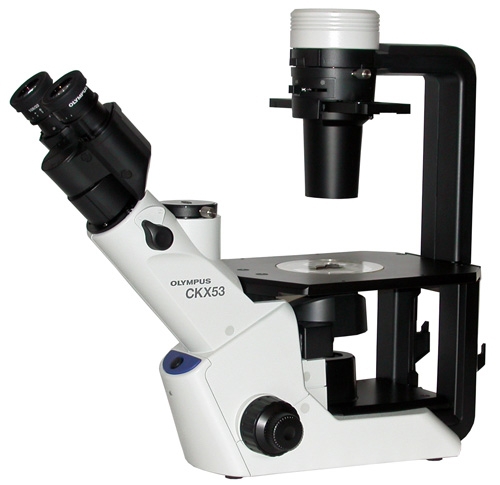 Olympus CKX53 microscope - Ask for quotation by mail !