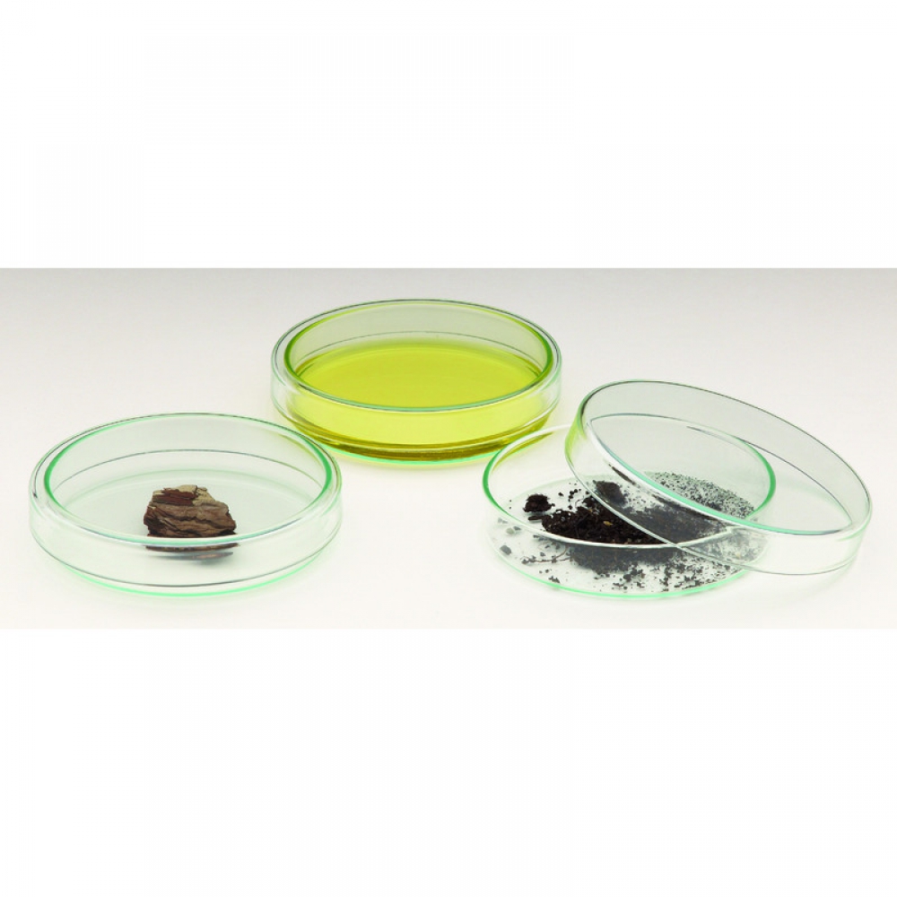 Windaus 100mm glass Petri dish with lid - 130114638